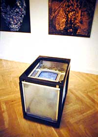 The EM exhibited at Charlottenborg, Denmark